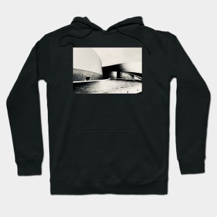 Danish aquarium Hoodie